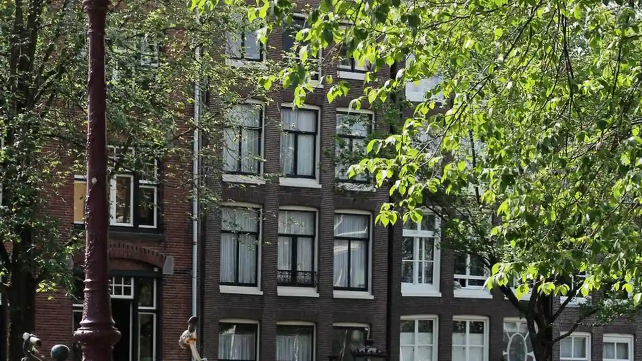 免费b站看大片真截图3